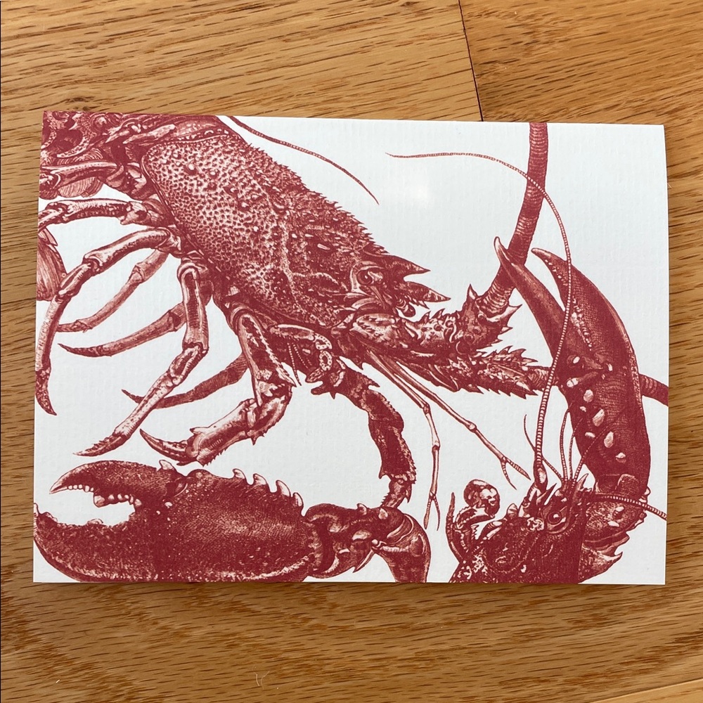 Lobster 🦞 Caskata Studio high end note cards
